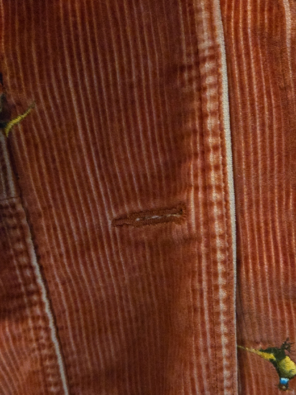 L.L. Bean Women's Corduroy Embroidered Jacket with Brown Collar, Pheasant - Picture 4 of 6
